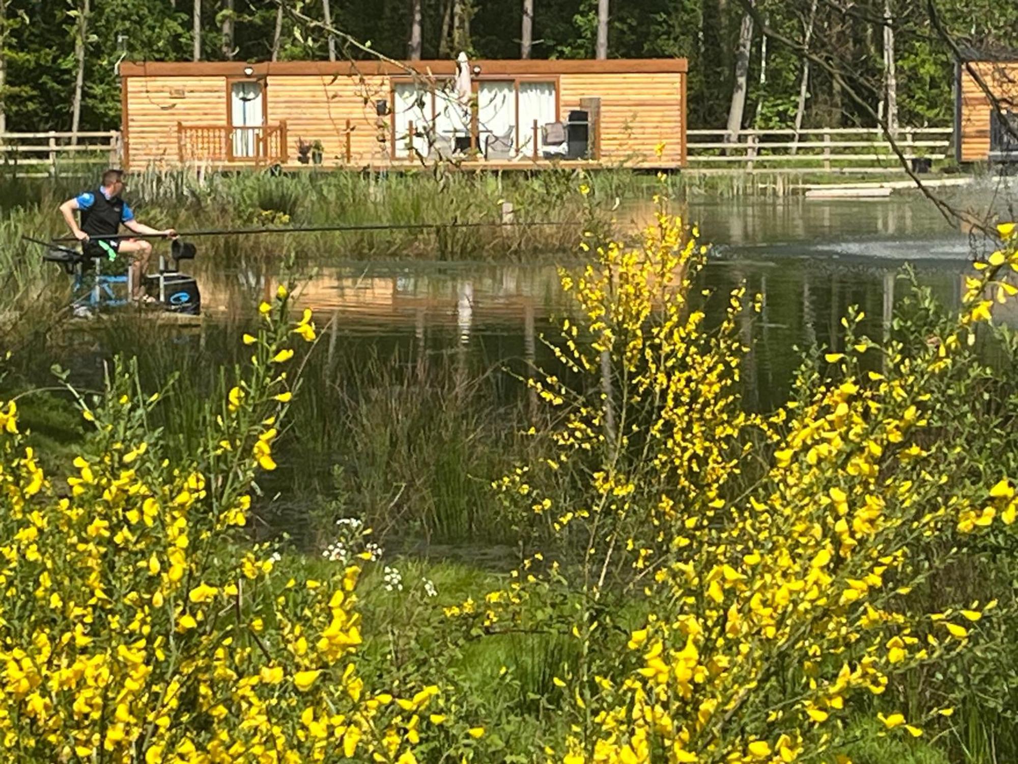 Oak Boutique Lodge Includes Hot Tub Air Con & Dog York Exterior foto